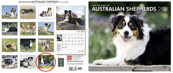 aussie