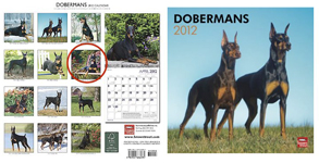 dobie
