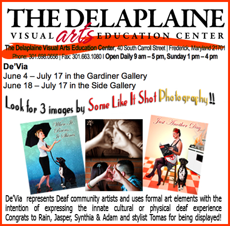 DelaplaineArtExhibit