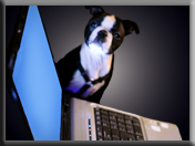 laptop